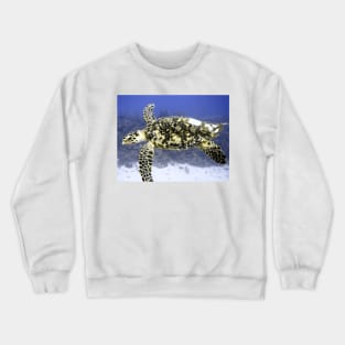 Hawksbill Sea Turtle Crewneck Sweatshirt